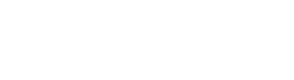 light logo